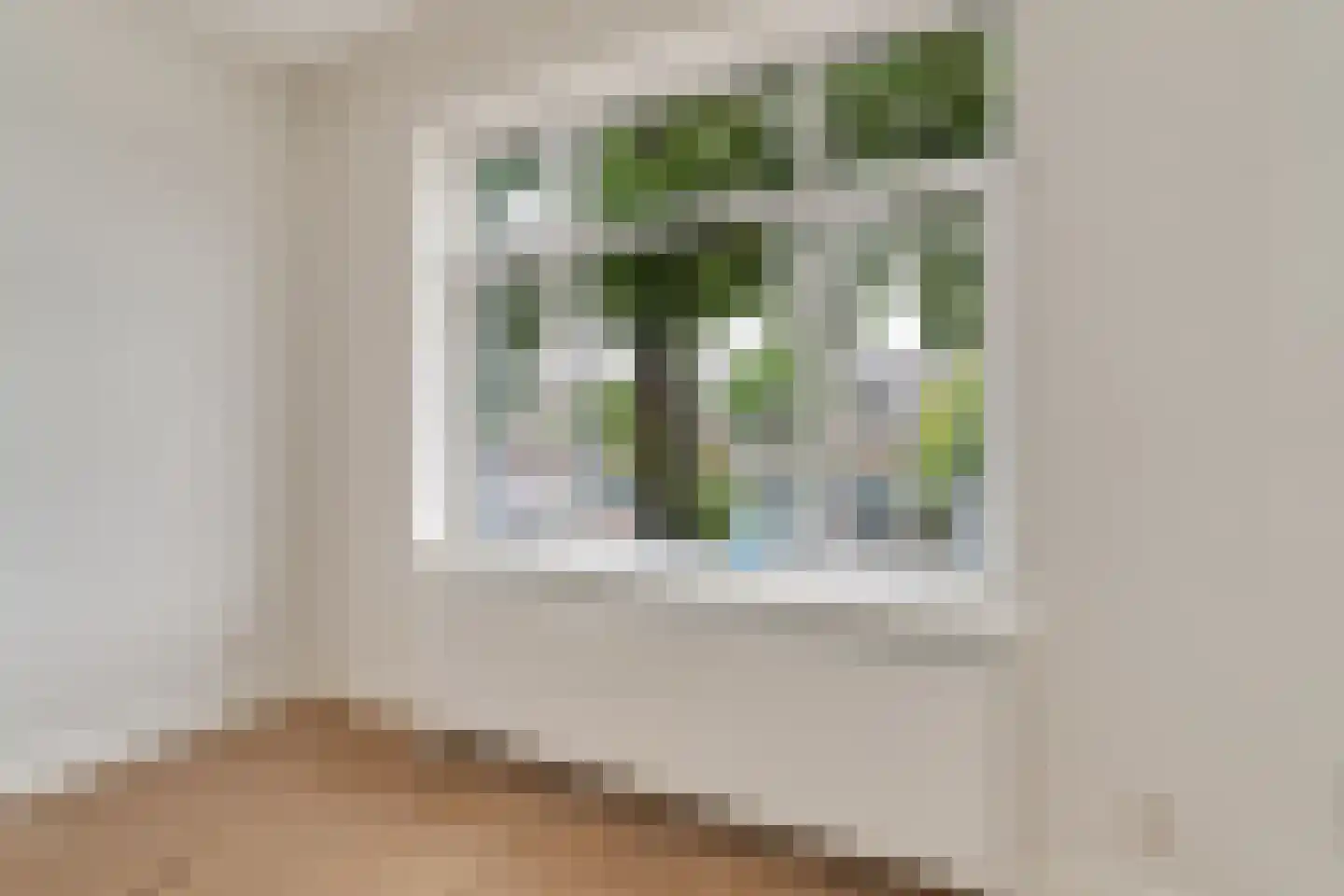 Soestdijksekade 96 Den Haag thumbnail 6
