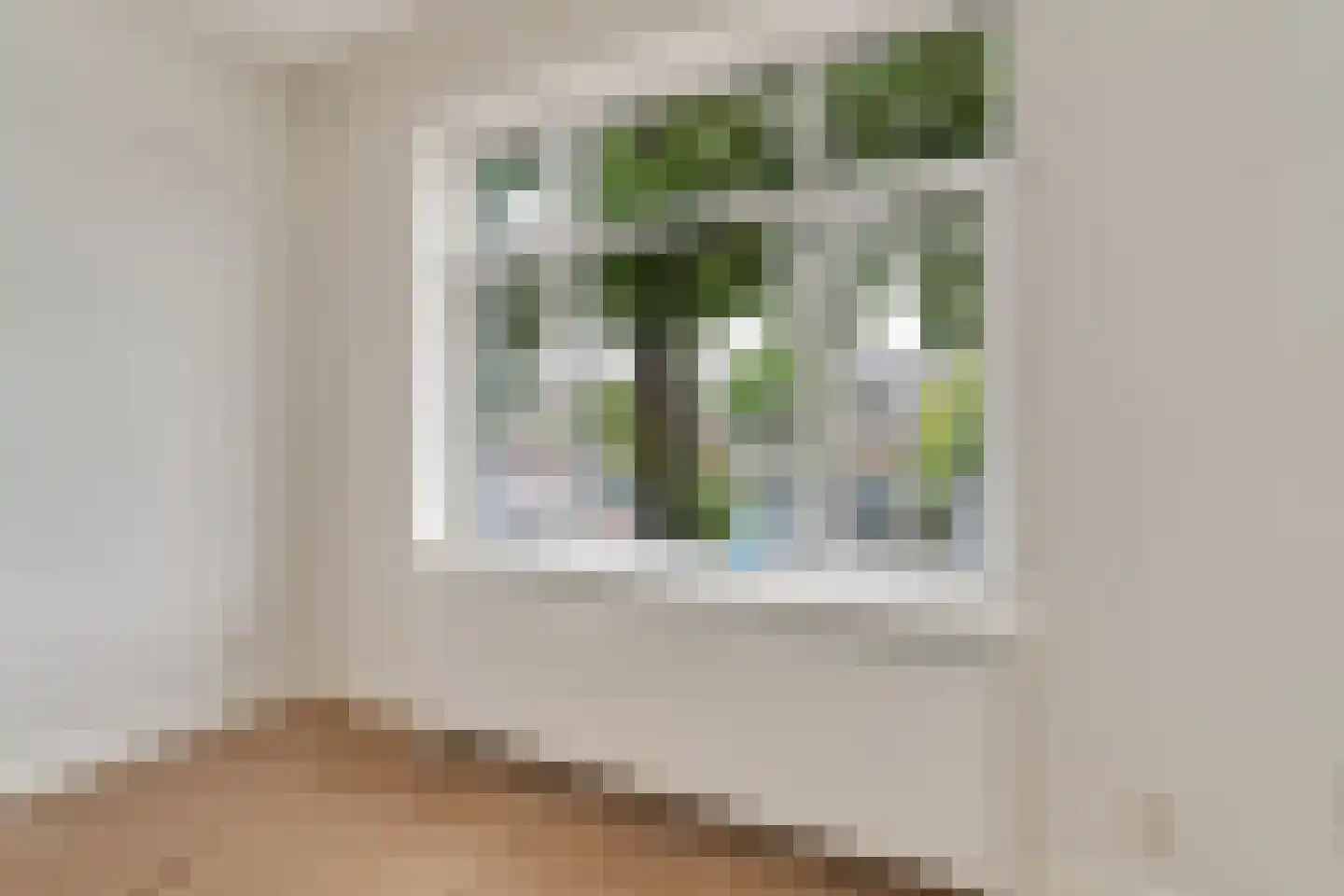 Soestdijksekade 96 Den Haag thumbnail 7