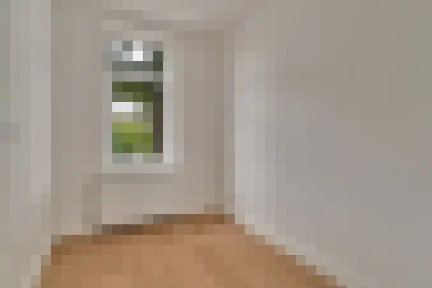 Soestdijksekade 96 Den Haag thumbnail 8