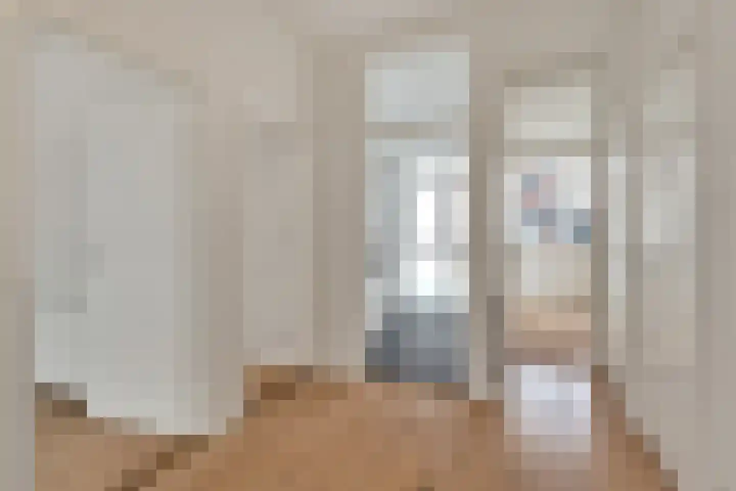 Soestdijksekade 96 Den Haag thumbnail 9