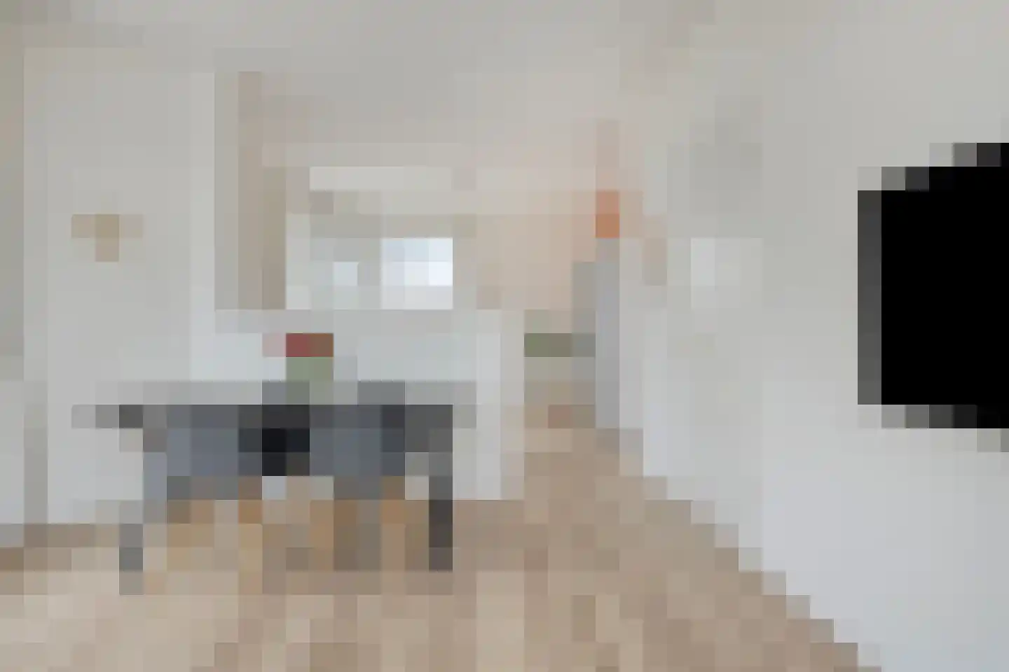 Soestdijksekade 968 Den Haag thumbnail 11