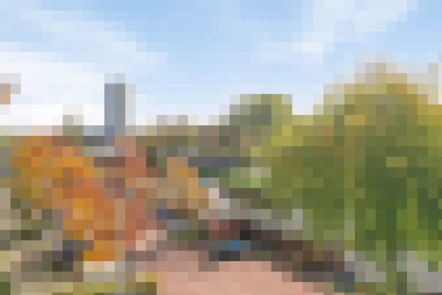 Soestdijksekade 968 Den Haag thumbnail 15
