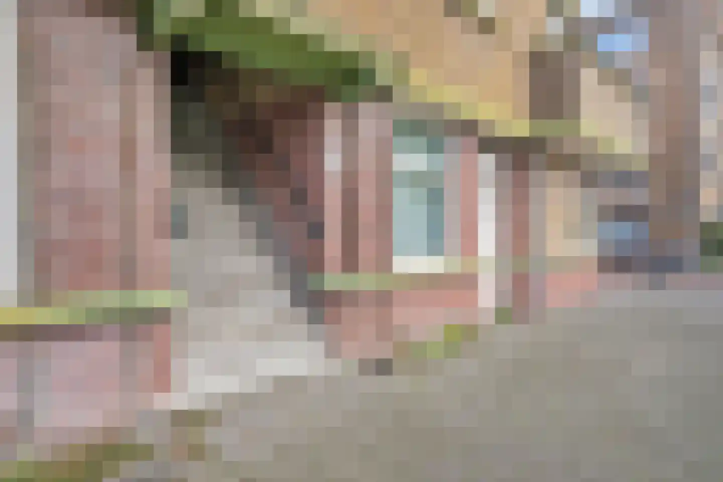Soestdijksekade 968 Den Haag thumbnail 6