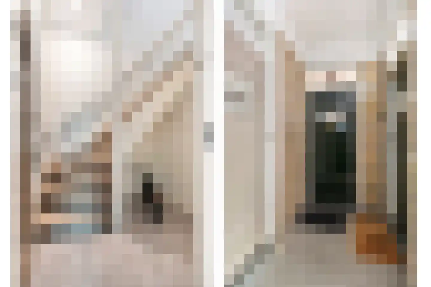 Soestdijksekade 968 Den Haag thumbnail 7