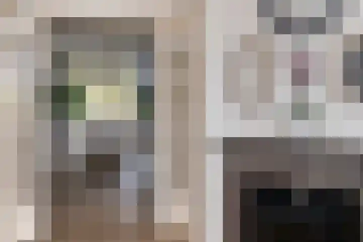 Soestdijksekade 998 Den Haag thumbnail 10