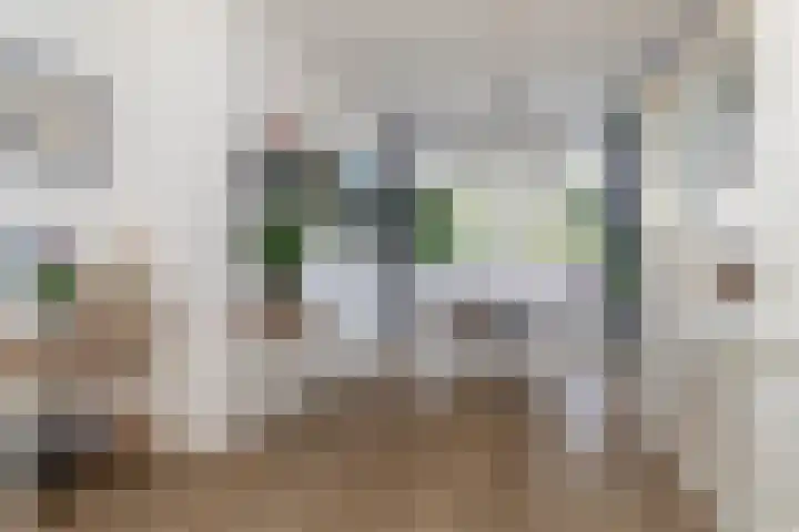 Soestdijksekade 998 Den Haag thumbnail 12