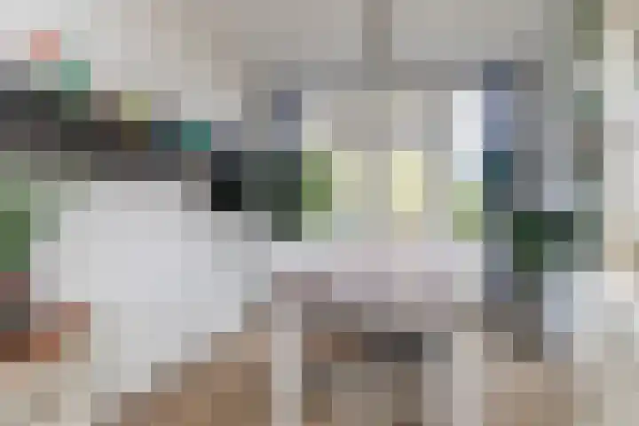 Soestdijksekade 998 Den Haag thumbnail 13