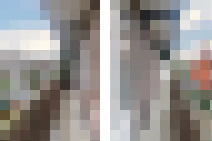 Soestdijksekade 998 Den Haag thumbnail 14