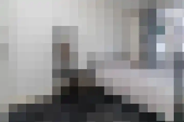 Soestdijksekade 998 Den Haag thumbnail 17