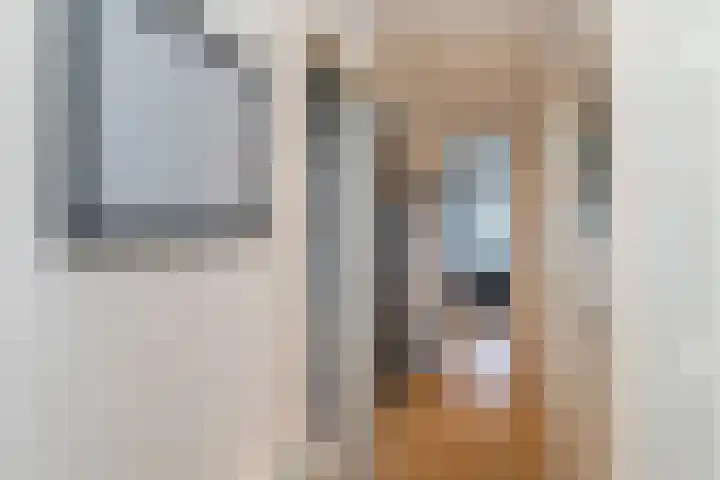 Soestdijksekade 998 Den Haag thumbnail 21