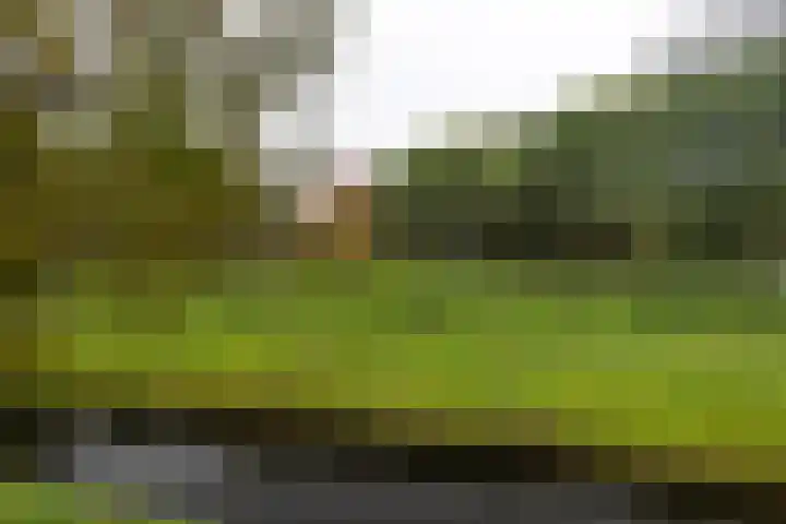 Soestdijksekade 998 Den Haag thumbnail 26