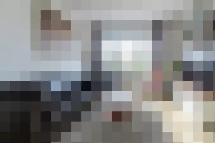Soestdijksekade 998 Den Haag thumbnail 4