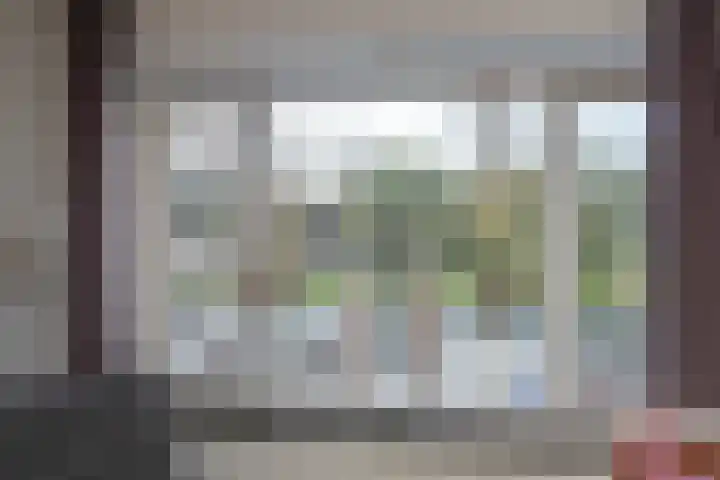 Soestdijksekade 998 Den Haag thumbnail 5