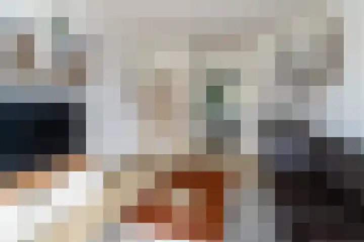 Soestdijksekade 998 Den Haag thumbnail 8