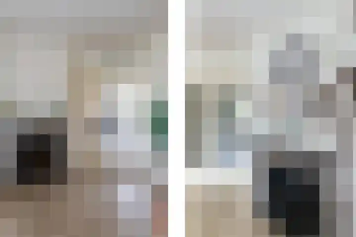 Soestdijksekade 998 Den Haag thumbnail 9