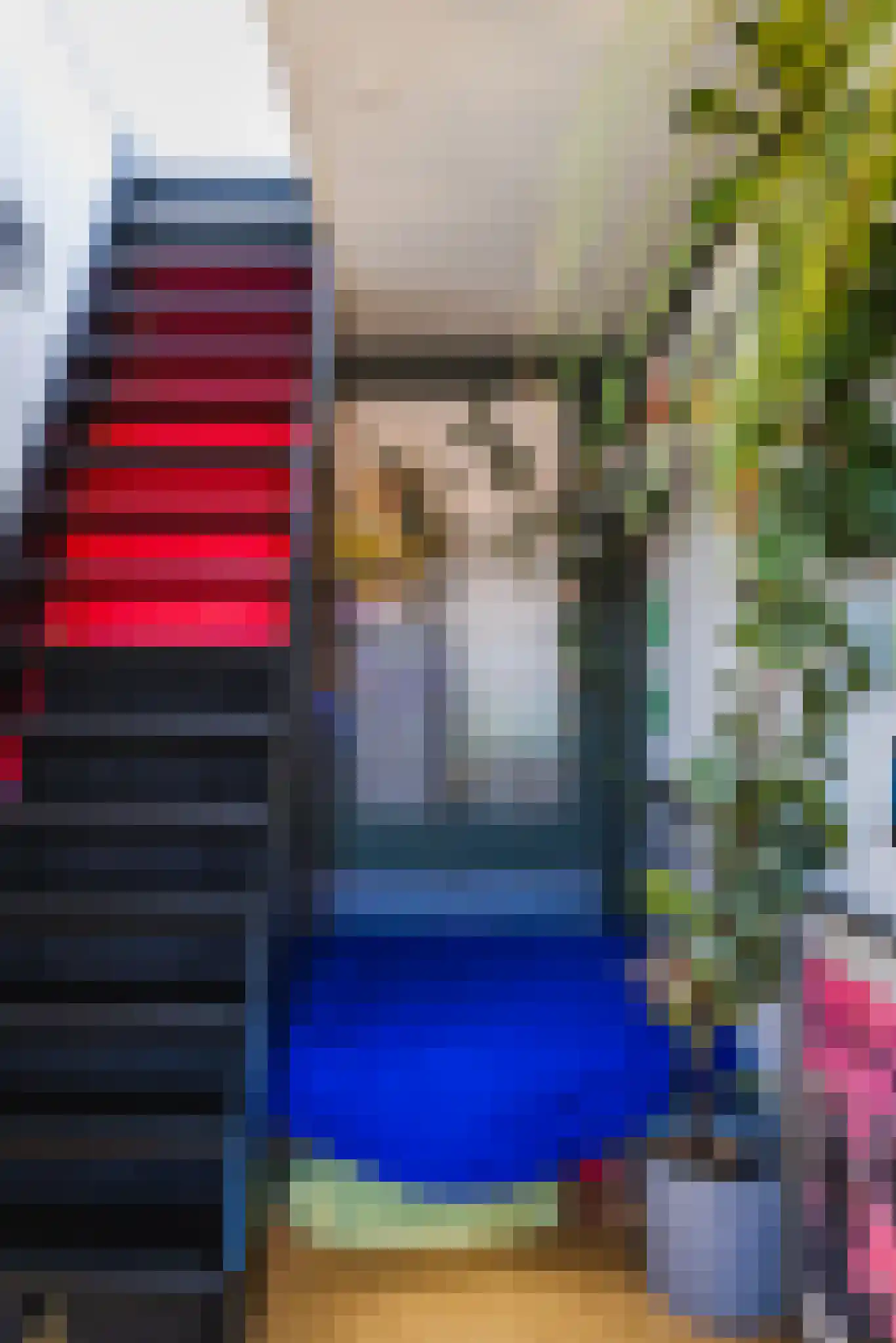 Soestdijkseplein 32 Den Haag thumbnail 16
