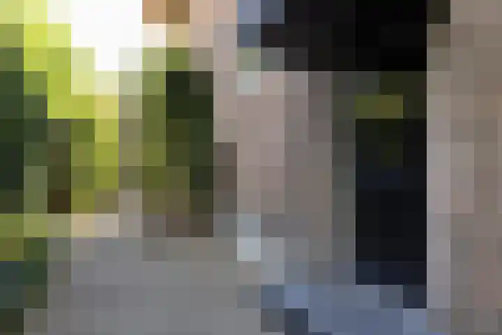 Soestdijkseweg Noord 316 Bilthoven thumbnail 4