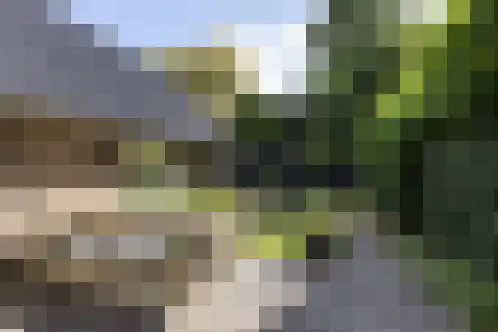 Soestdijkseweg Noord 316 Bilthoven thumbnail 41