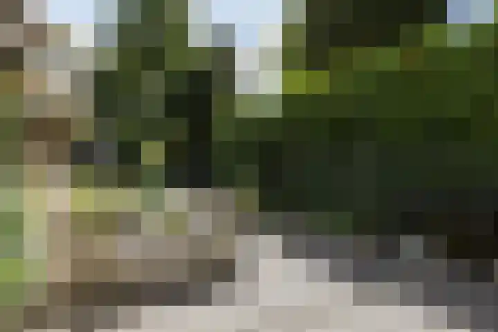 Soestdijkseweg Noord 316 Bilthoven thumbnail 42