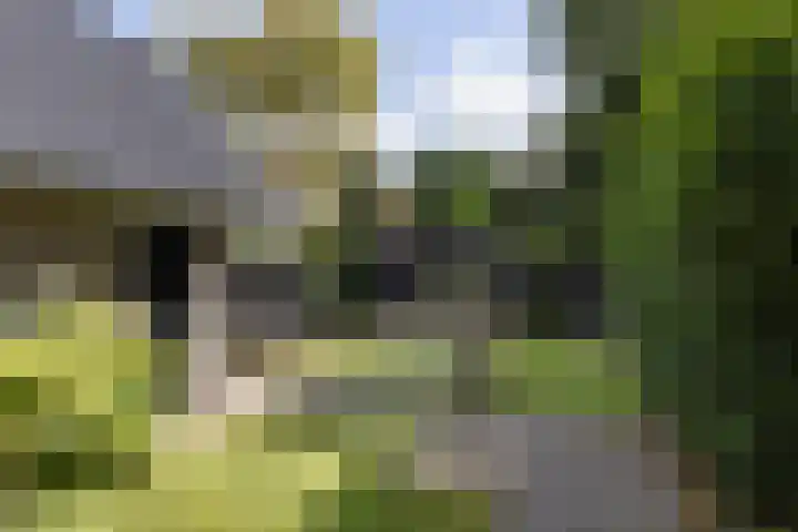 Soestdijkseweg Noord 316 Bilthoven thumbnail 43