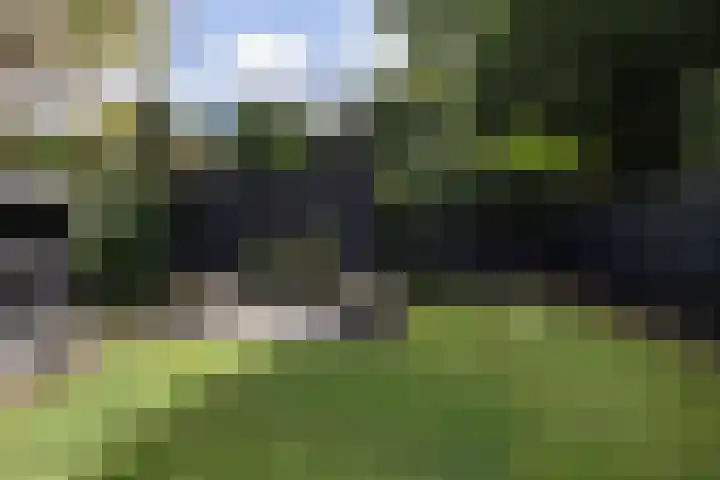 Soestdijkseweg Noord 316 Bilthoven thumbnail 44