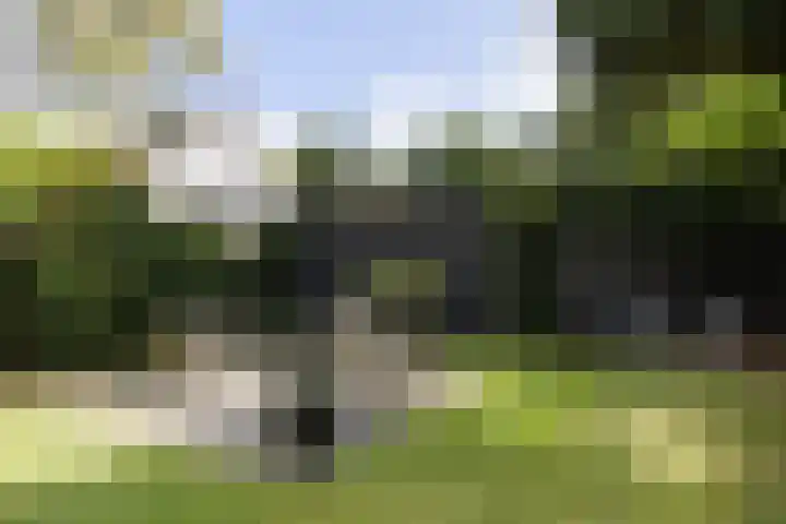 Soestdijkseweg Noord 316 Bilthoven thumbnail 45