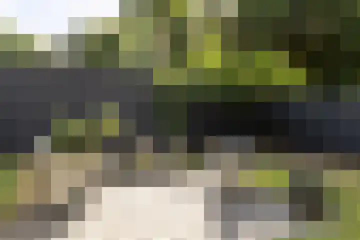 Soestdijkseweg Noord 316 Bilthoven thumbnail 46