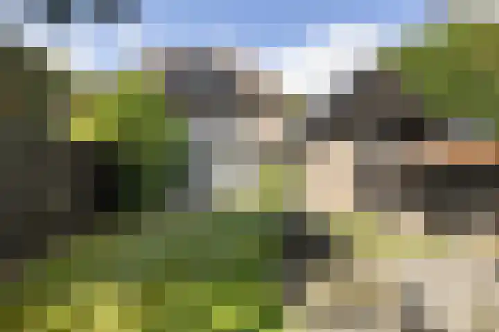 Soestdijkseweg Noord 316 Bilthoven thumbnail 47