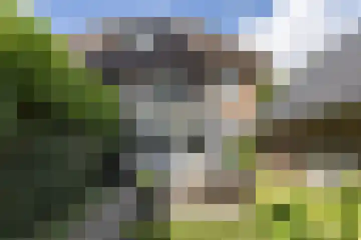 Soestdijkseweg Noord 316 Bilthoven thumbnail 48