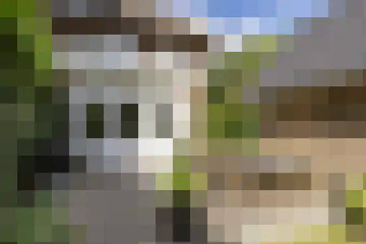 Soestdijkseweg Noord 316 Bilthoven thumbnail 49