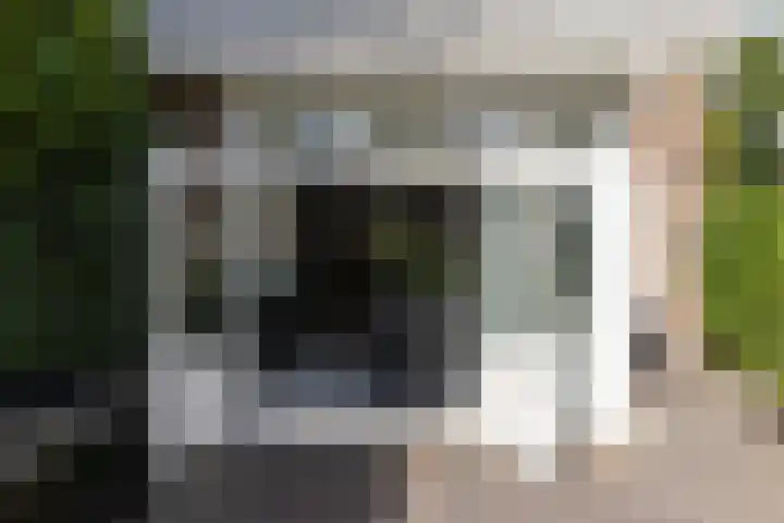 Soestdijkseweg Noord 316 Bilthoven thumbnail 50