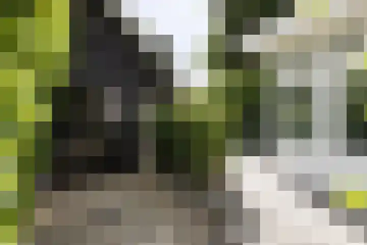 Soestdijkseweg Noord 316 Bilthoven thumbnail 51