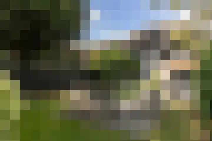 Soestdijkseweg Noord 316 Bilthoven thumbnail 52