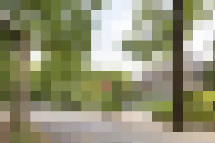Soestdijkseweg Noord 316 Bilthoven thumbnail 53