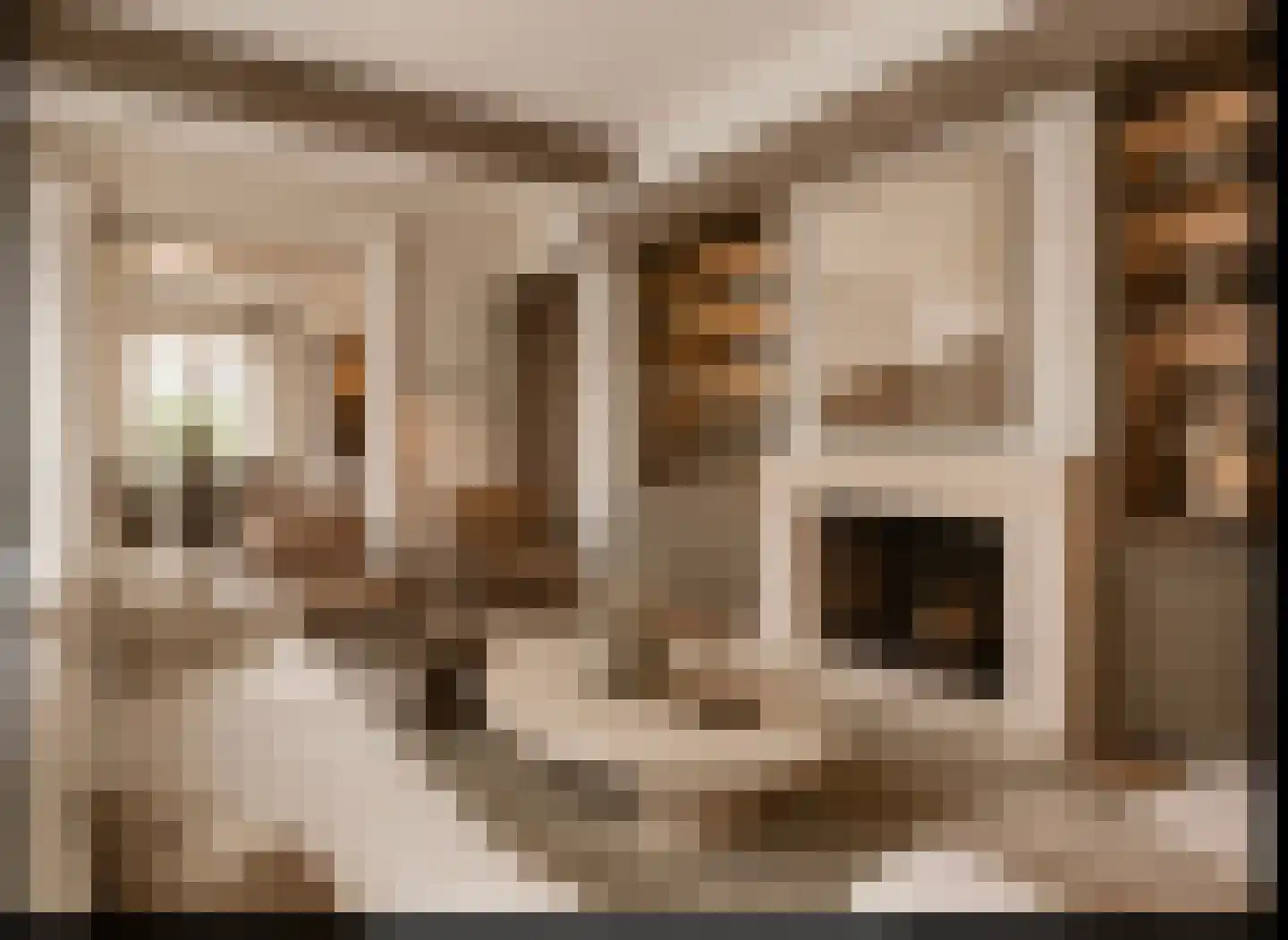 Soestdijkseweg Noord 321 Bilthoven thumbnail 15