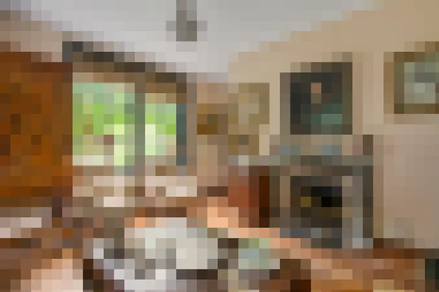 Soestdijkseweg Noord 321 Bilthoven thumbnail 17