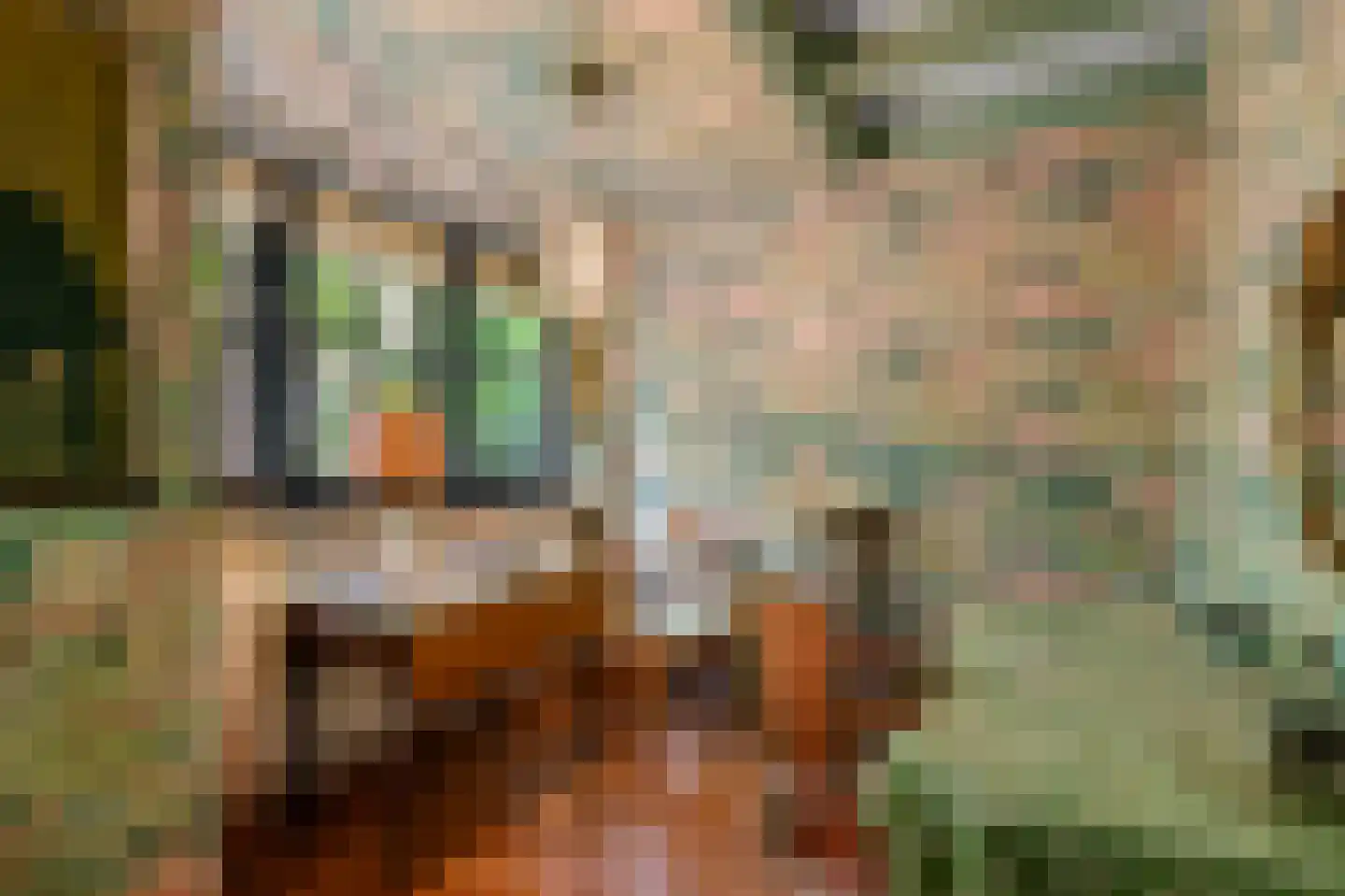 Soestdijkseweg Noord 321 Bilthoven thumbnail 32