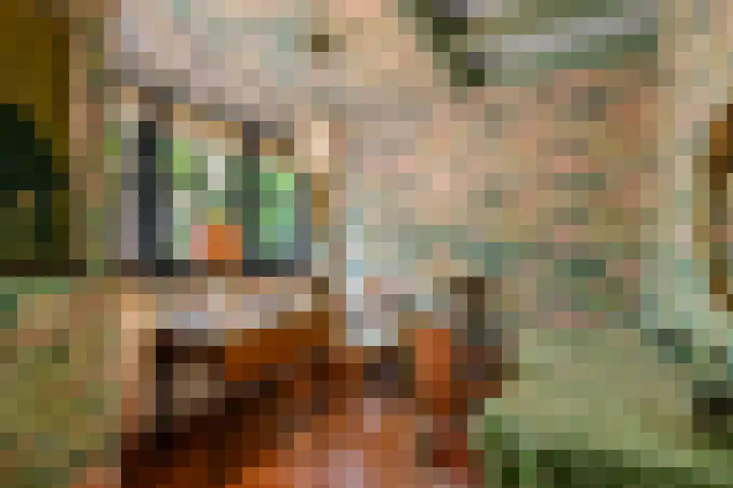 Soestdijkseweg Noord 321 Bilthoven thumbnail 35