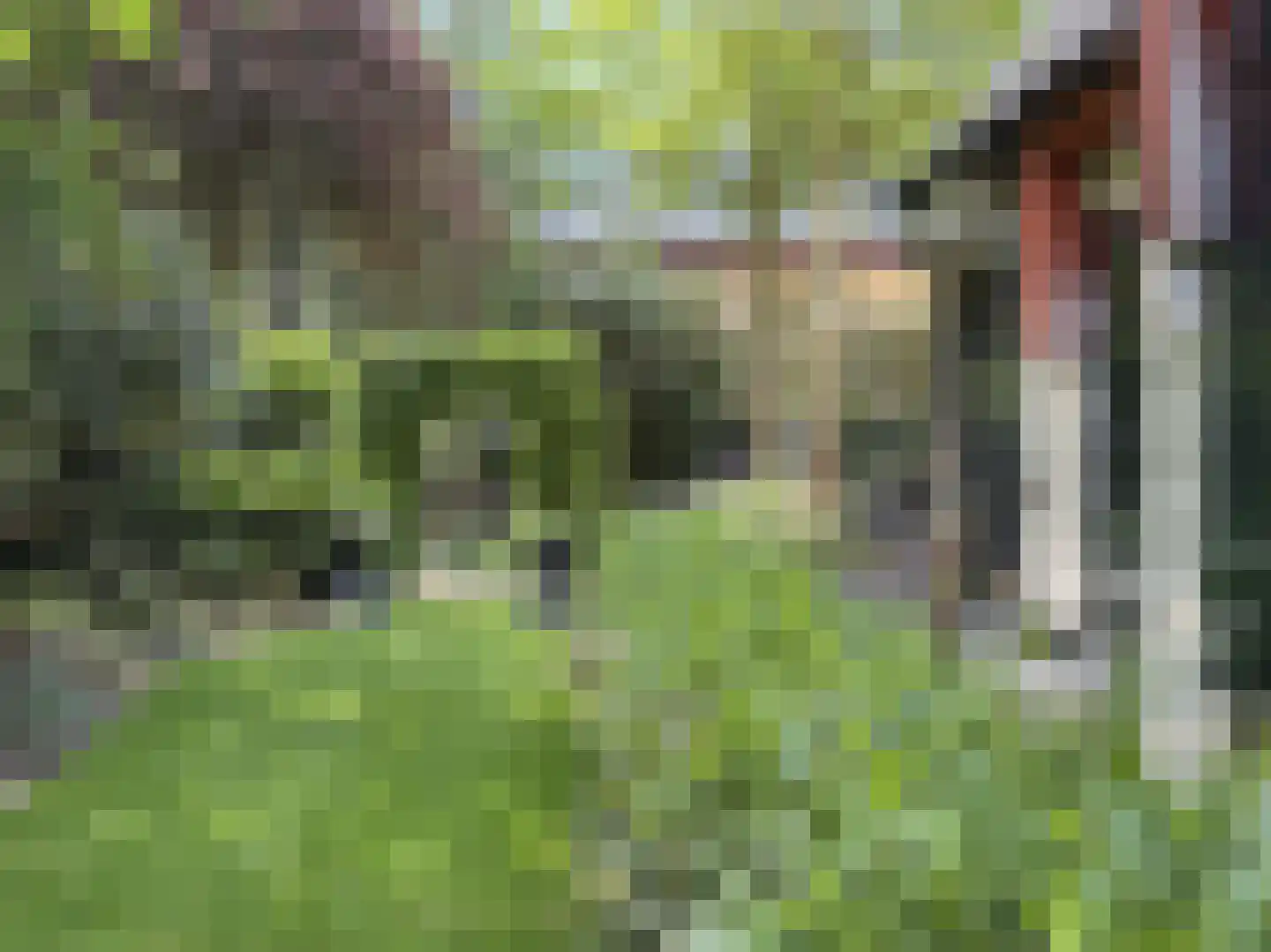 Soestdijkseweg Noord 321 Bilthoven thumbnail 35