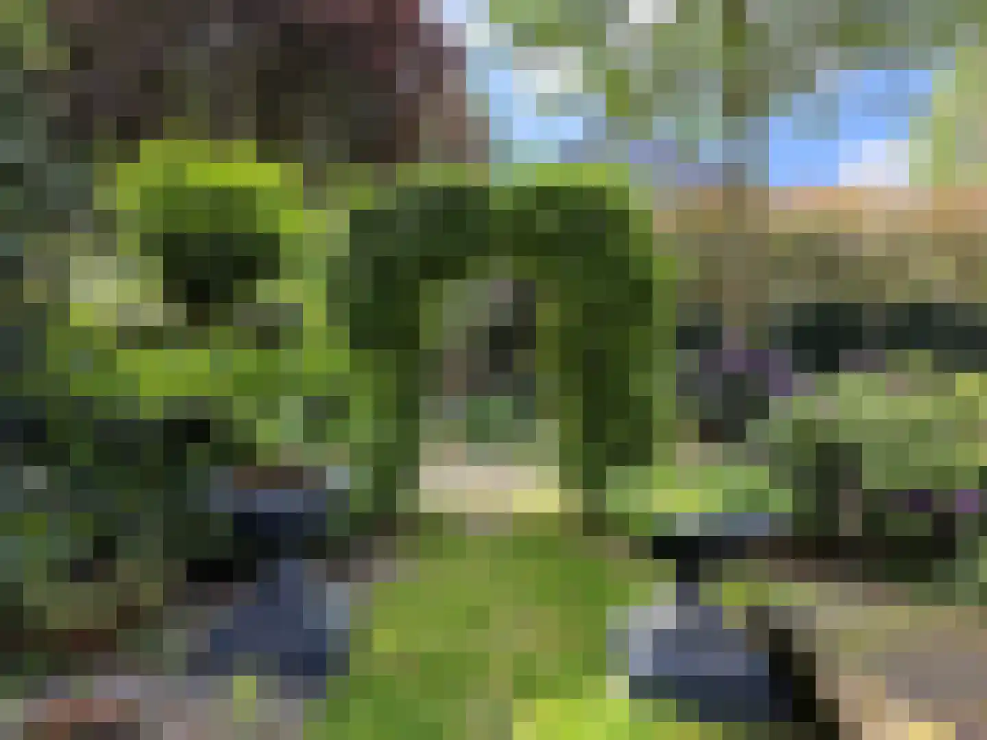 Soestdijkseweg Noord 321 Bilthoven thumbnail 36