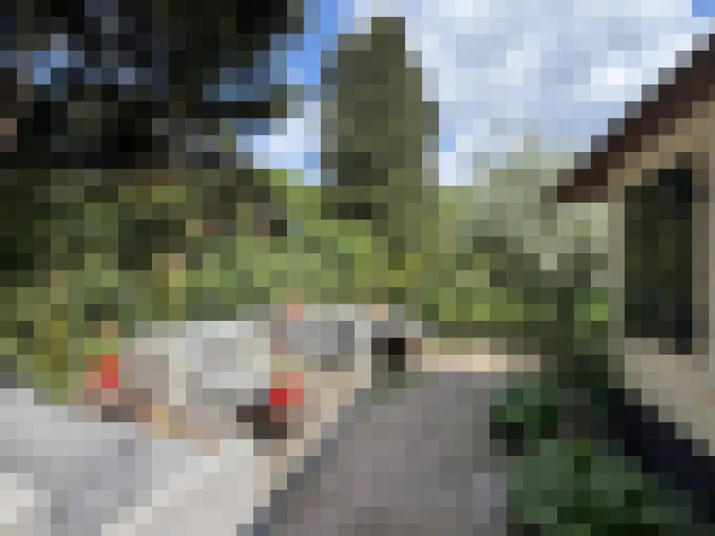 Soestdijkseweg Noord 321 Bilthoven thumbnail 37