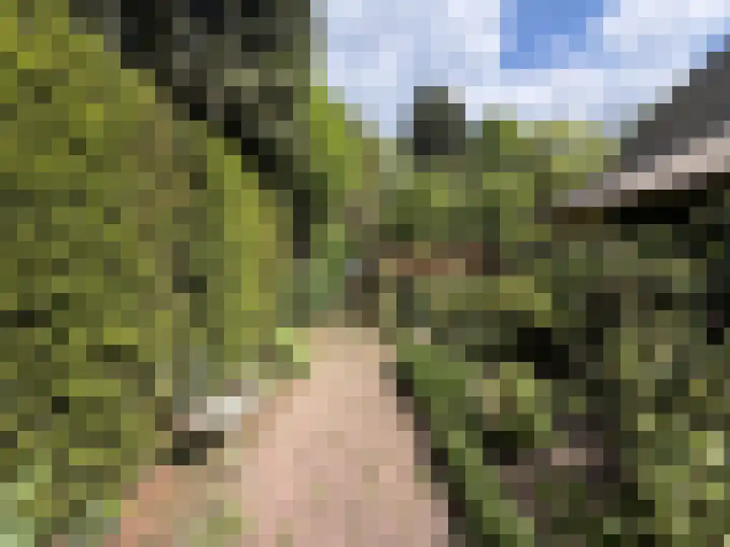 Soestdijkseweg Noord 321 Bilthoven thumbnail 38
