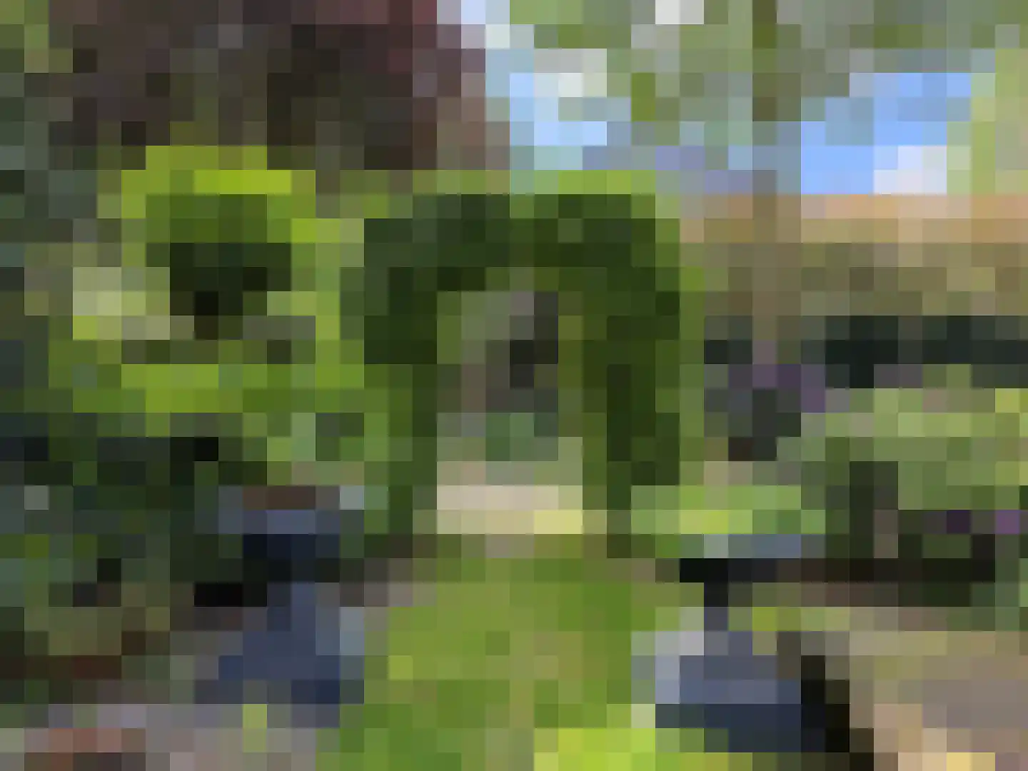 Soestdijkseweg Noord 321 Bilthoven thumbnail 39