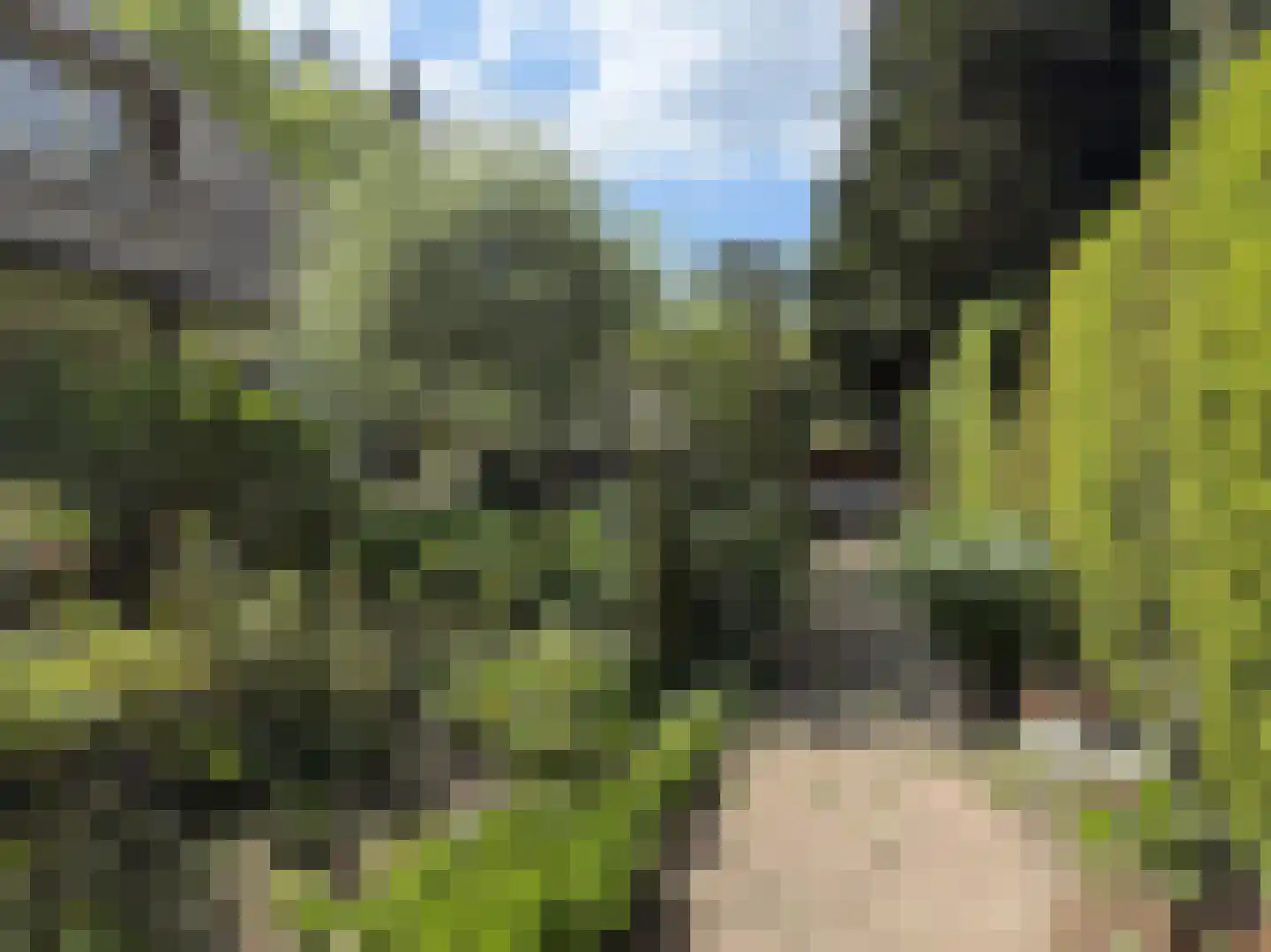 Soestdijkseweg Noord 321 Bilthoven thumbnail 39
