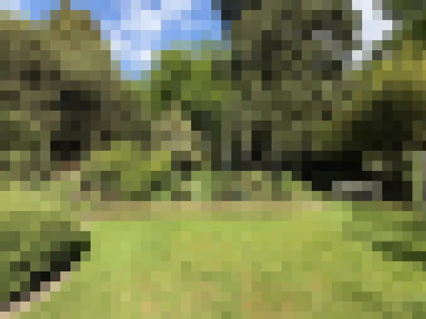 Soestdijkseweg Noord 321 Bilthoven thumbnail 7