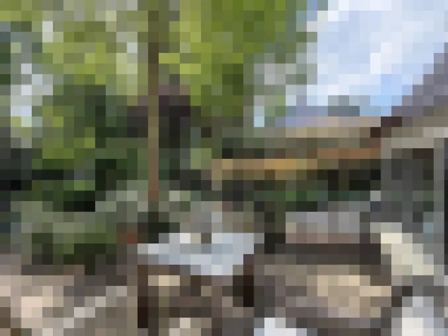 Soestdijkseweg Noord 321 Bilthoven thumbnail 8