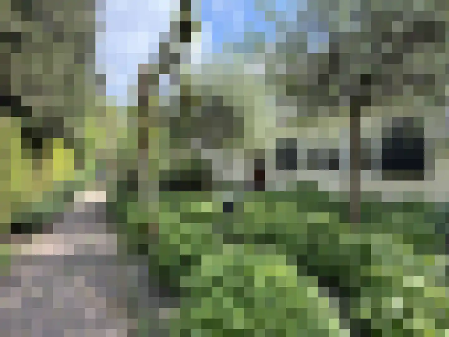 Soestdijkseweg Noord 321 Bilthoven thumbnail 8