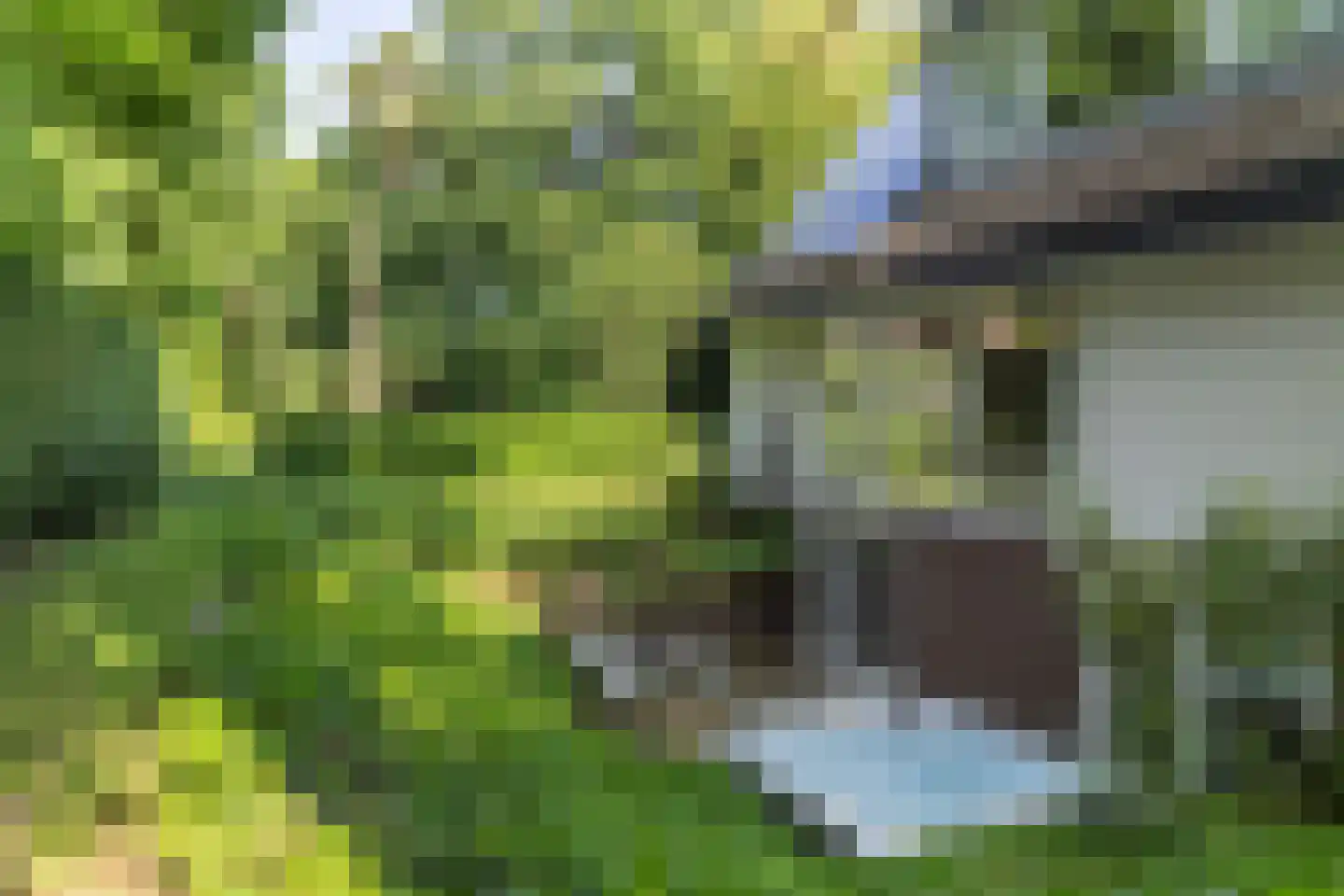 Soestdijkseweg Noord 325 A Bilthoven thumbnail 4