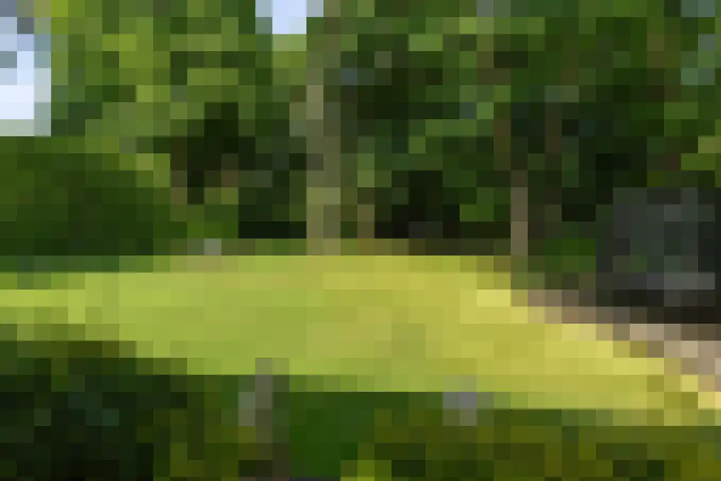 Soestdijkseweg Noord 325 A Bilthoven thumbnail 44