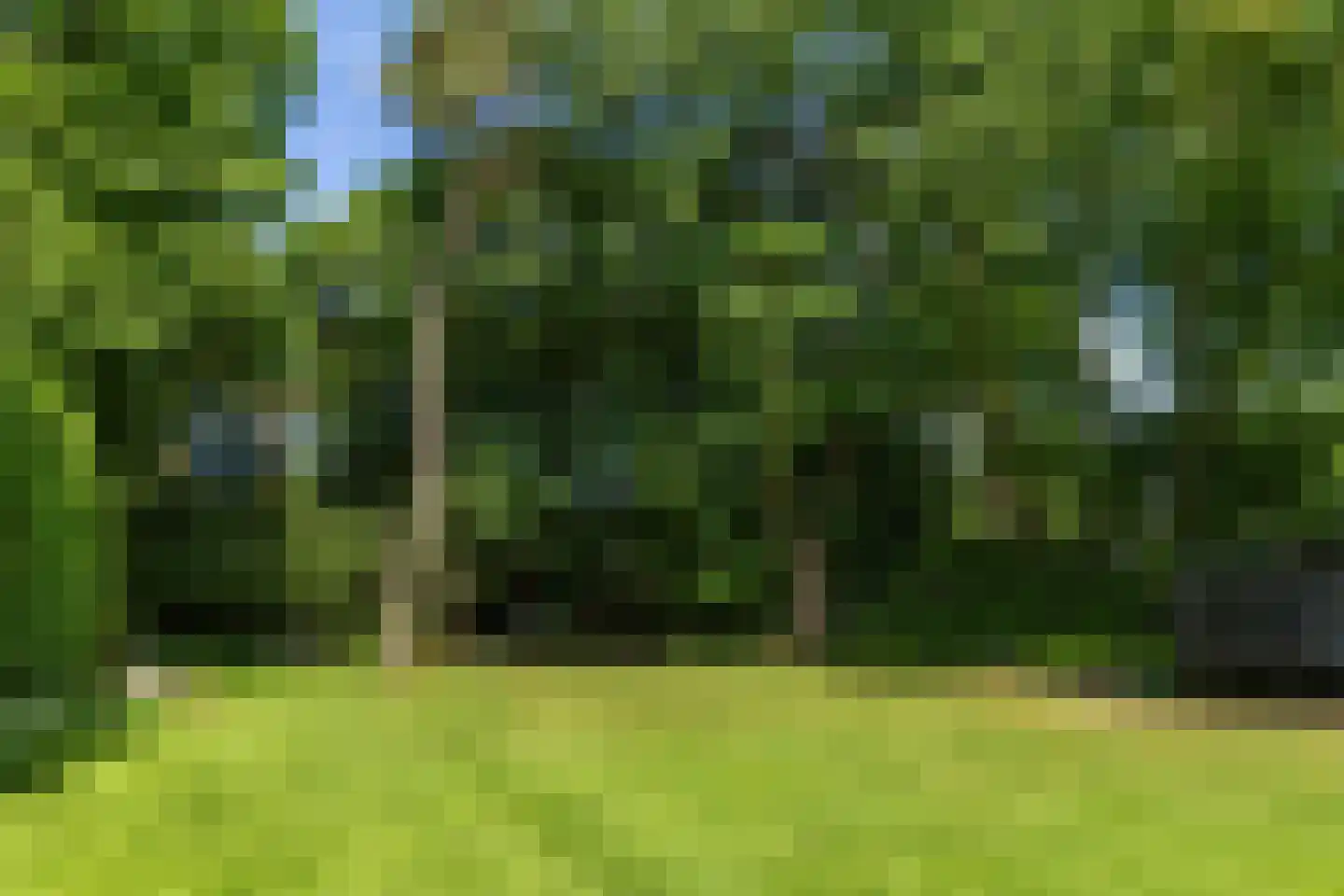 Soestdijkseweg Noord 325 A Bilthoven thumbnail 45